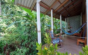 Casa Lina Sloth View Exotic Apartment With Privat Kitchen