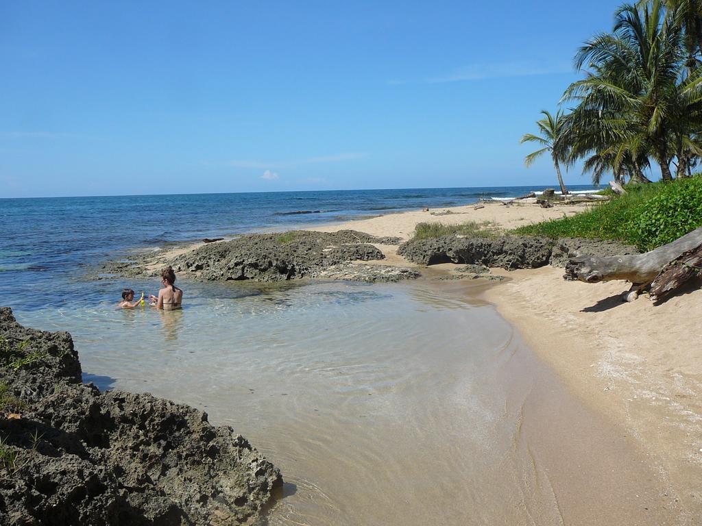 Casa Lina Sloth View Exotic Apartment With Privat Kitchen Puerto Viejo de Talamanca Room photo