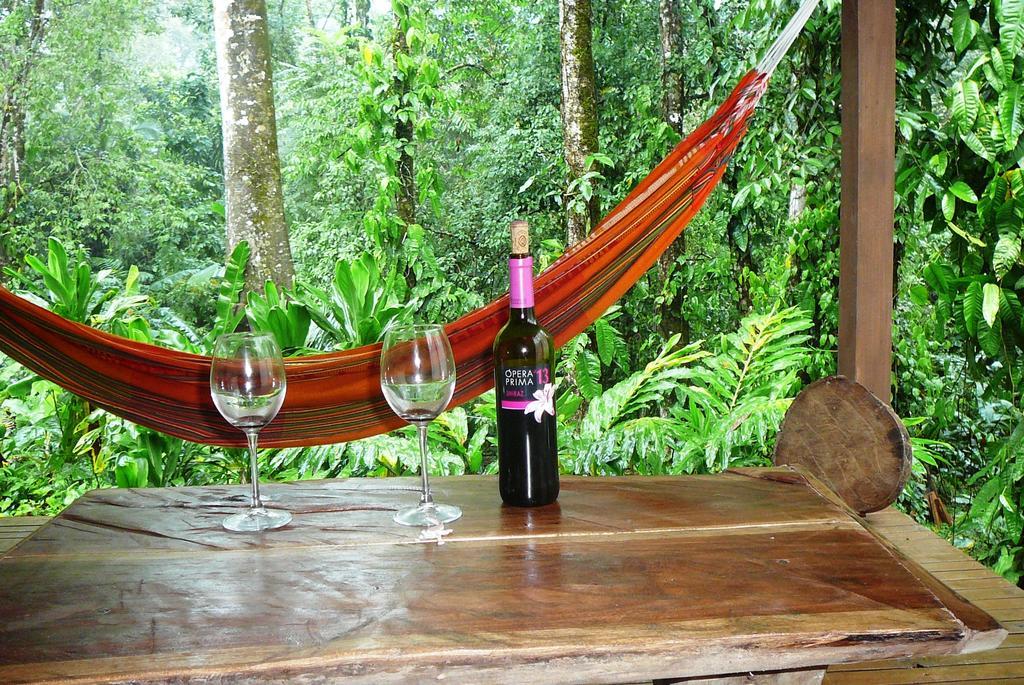 Casa Lina Sloth View Exotic Apartment With Privat Kitchen Puerto Viejo de Talamanca Room photo