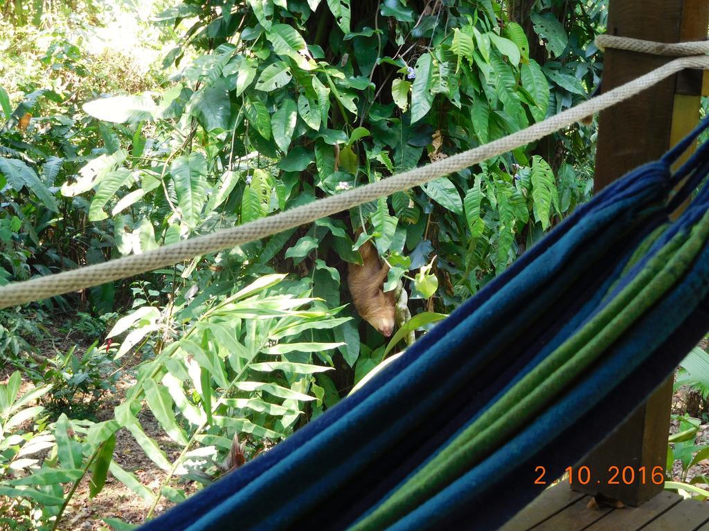 Casa Lina Sloth View Exotic Apartment With Privat Kitchen Puerto Viejo de Talamanca Exterior photo