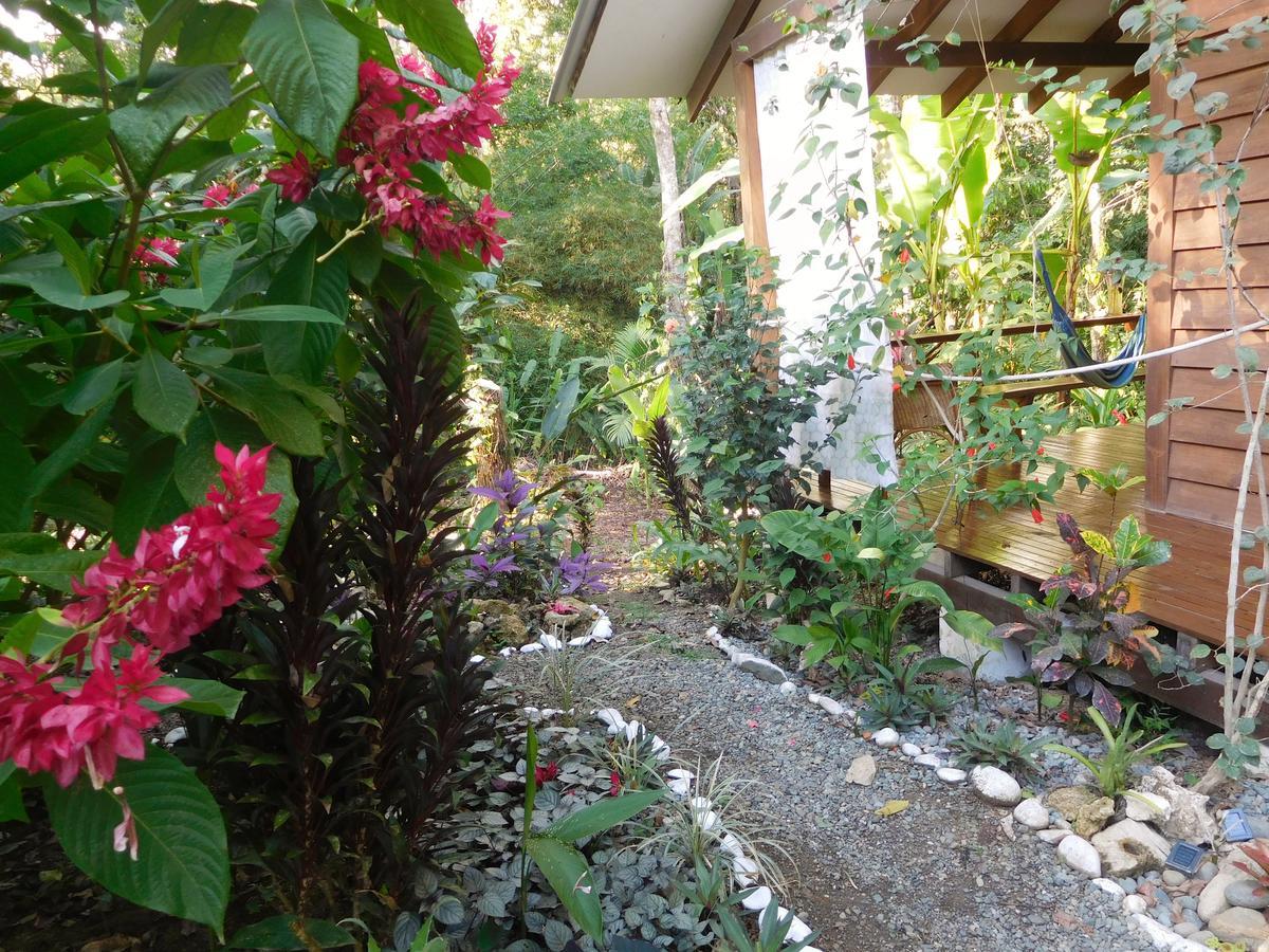 Casa Lina Sloth View Exotic Apartment With Privat Kitchen Puerto Viejo de Talamanca Exterior photo